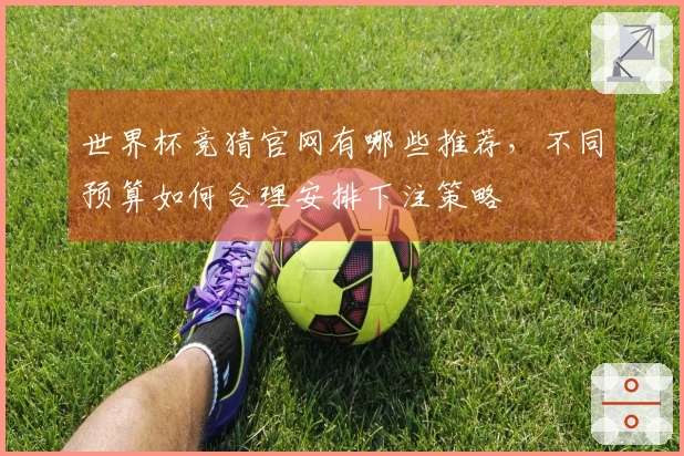 世界杯竞猜官网有哪些推荐,不同预算如何合理安排下注策略